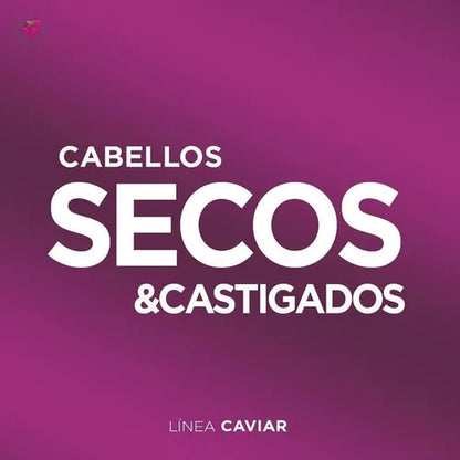 Acondicionador Secos y Castigados Caviar Fidelite 260ml